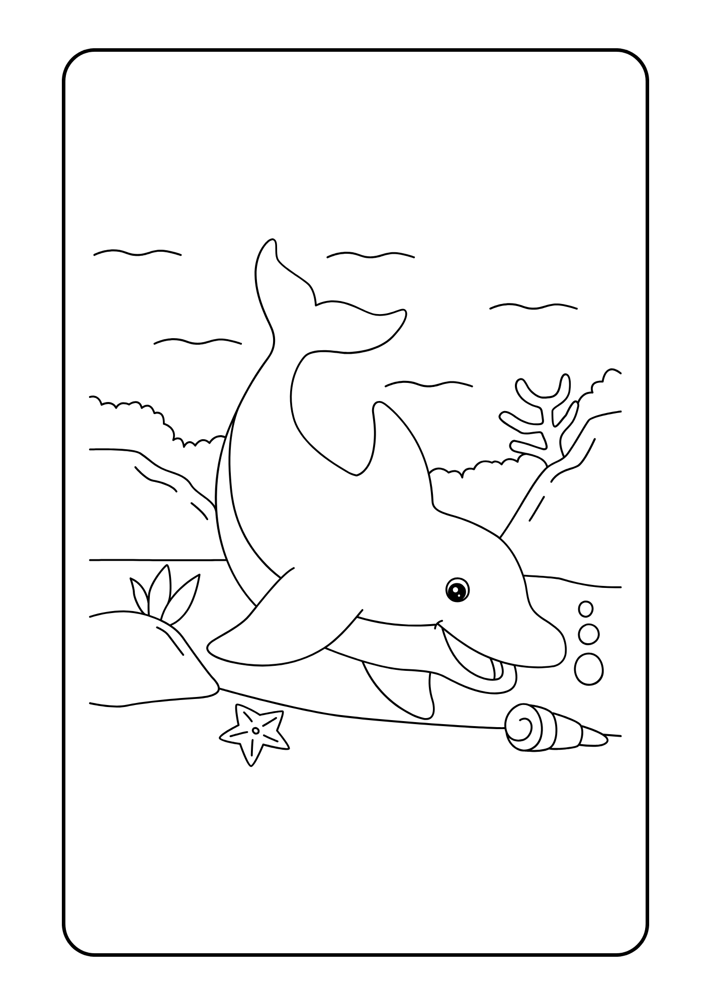 Coloriage Animaux Marins – 14 pages PDF