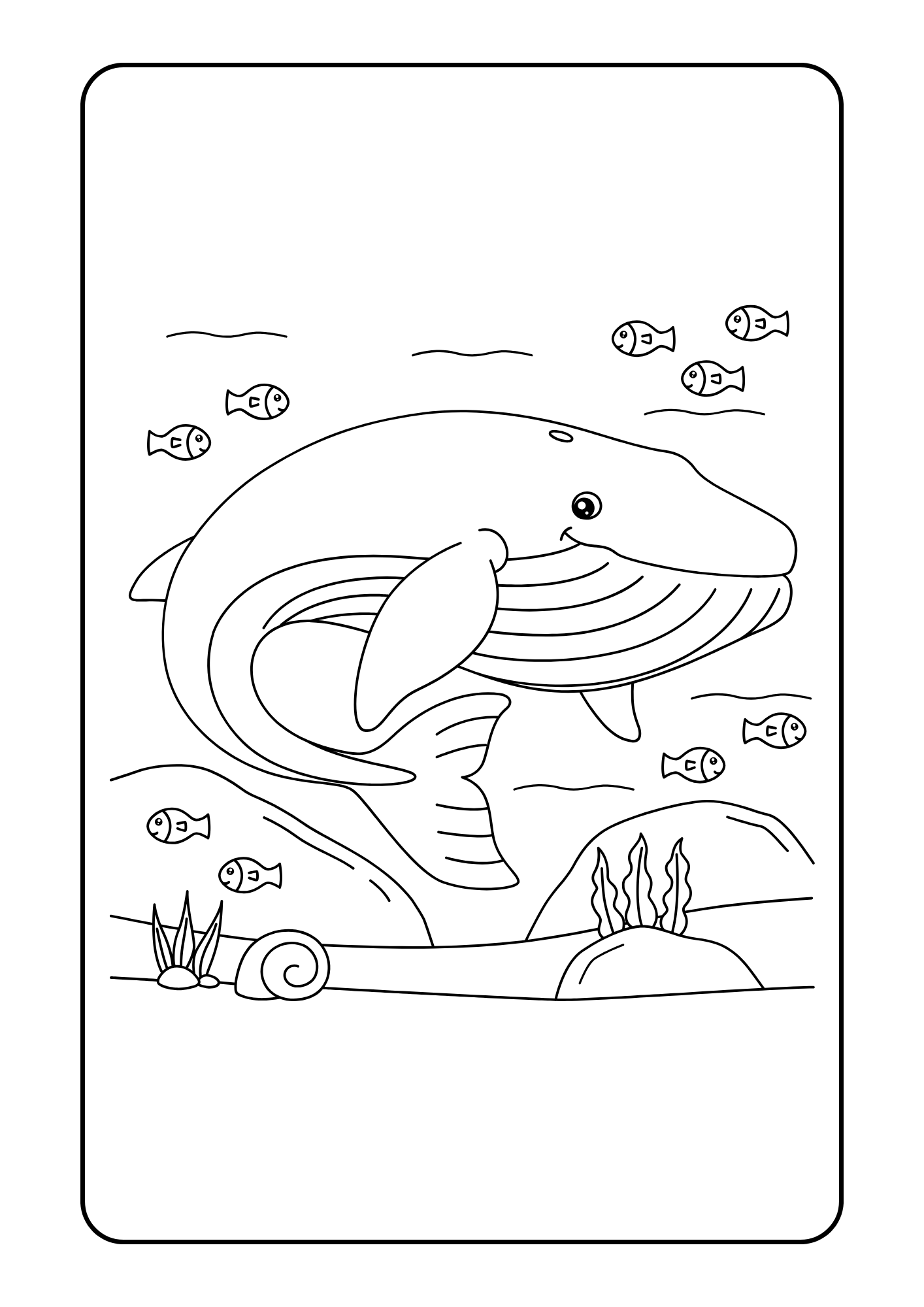 Coloriage Animaux Marins – 14 pages PDF