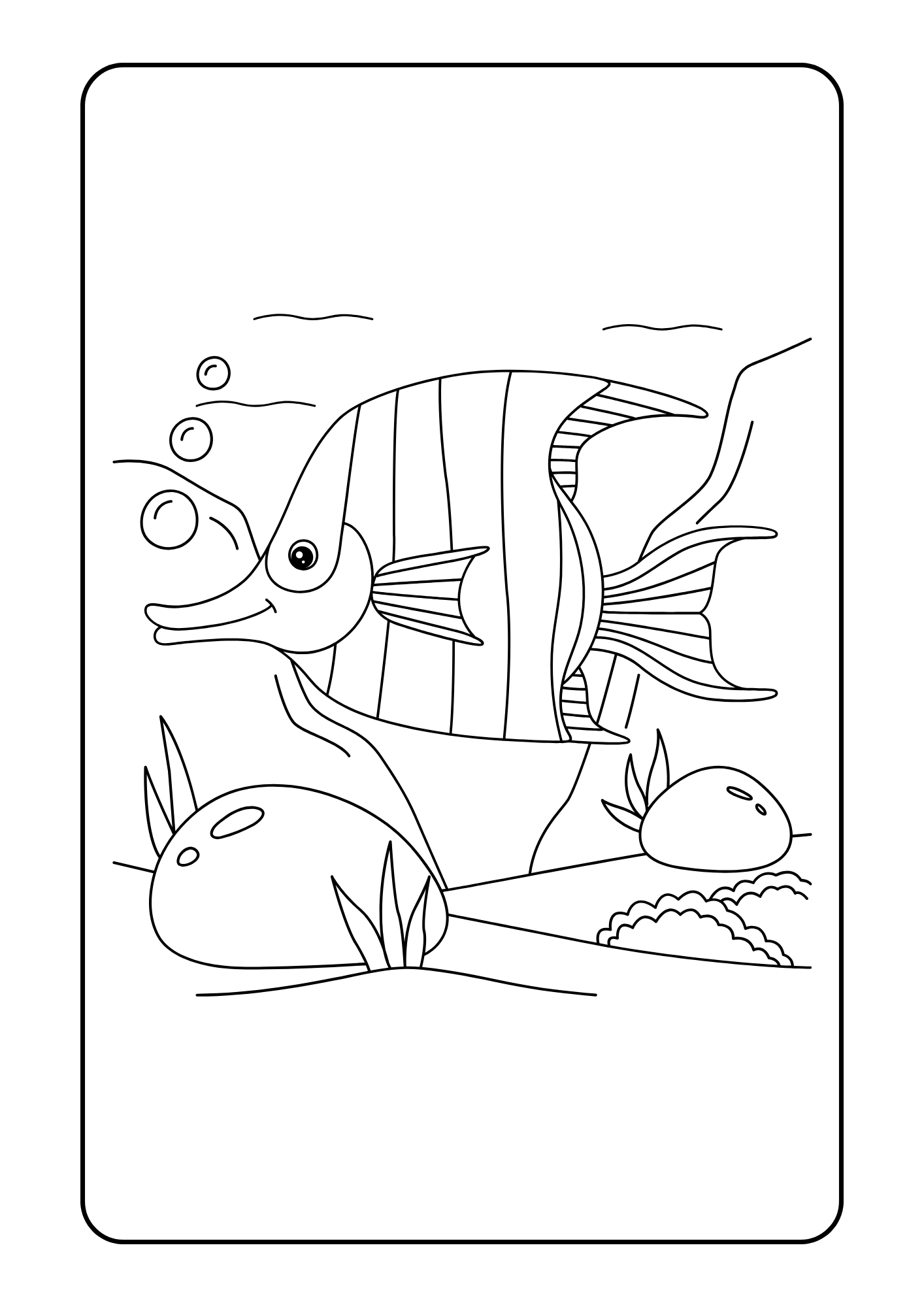 Coloriage Animaux Marins – 14 pages PDF